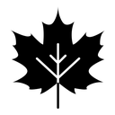 Maple leaf black filled icon