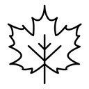 Maple leaf black outline icon