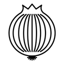 Onion black outline icon