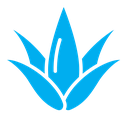 Aloe vera color filled icon