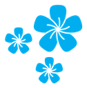 Araliya flower color filled icon