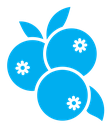 Blueberry icon (2) color filled icon