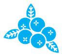 Blueberry color filled icon