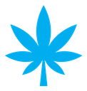 Cannabis leaf color filled icon