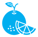 Citrus fruit color filled icon