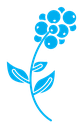 Coffee plant color filled icon