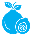 Guava color filled icon
