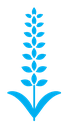 Lavender color filled icon