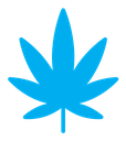 Marijuana color filled icon