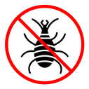 Mite in the prohibition sign color filled icon
