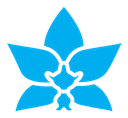 Moth orchid color filled icon
