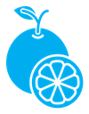 Orange fruit color filled icon
