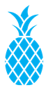 Pineapple color filled icon