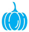 Pumpkin color filled icon