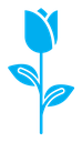 Rose Icon (2) color filled icon
