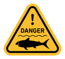 Shark warning sign color filled icon