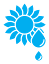 Sunflower oil color filled icon