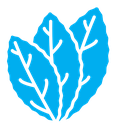 Tobacco leaves color filled icon