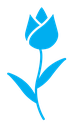 Tulip color filled icon