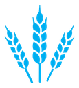 Wheat color filled icon