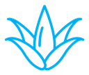 Aloe vera color outline icon