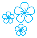 Araliya flower color outline icon