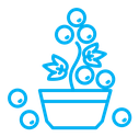 Berry shrubs and vines color outline icon