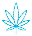 Birch leaf icon (2) color outline icon