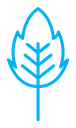 Birch leaf color outline icon