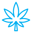 Cannabis leaf color outline icon