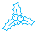 Christmas holly berry color outline icon