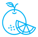 Citrus fruit color outline icon