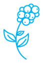 Coffee plant color outline icon