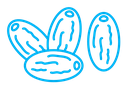 Date fruit color outline icon