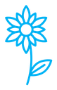 Flower icon (2) color outline icon