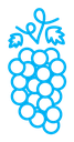 Grape color outline icon