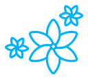 Jasmine color outline icon