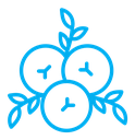 Juniper color outline icon