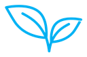 Leafs color outline icon