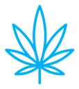 Marijuana color outline icon