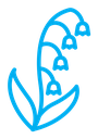 May lily color outline icon