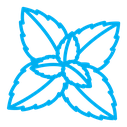 Mint color outline icon