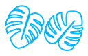 Monstera deliciosa plant leaf color outline icon