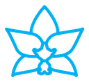 Moth orchid color outline icon
