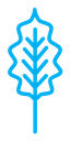 Oak leaf with veins color outline icon