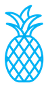 Pineapple color outline icon