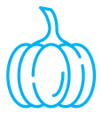 Pumpkin color outline icon