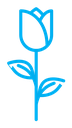 Rose Icon (2) color outline icon