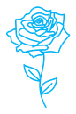 Rose flower color outline icon