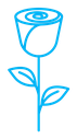 Rose color outline icon